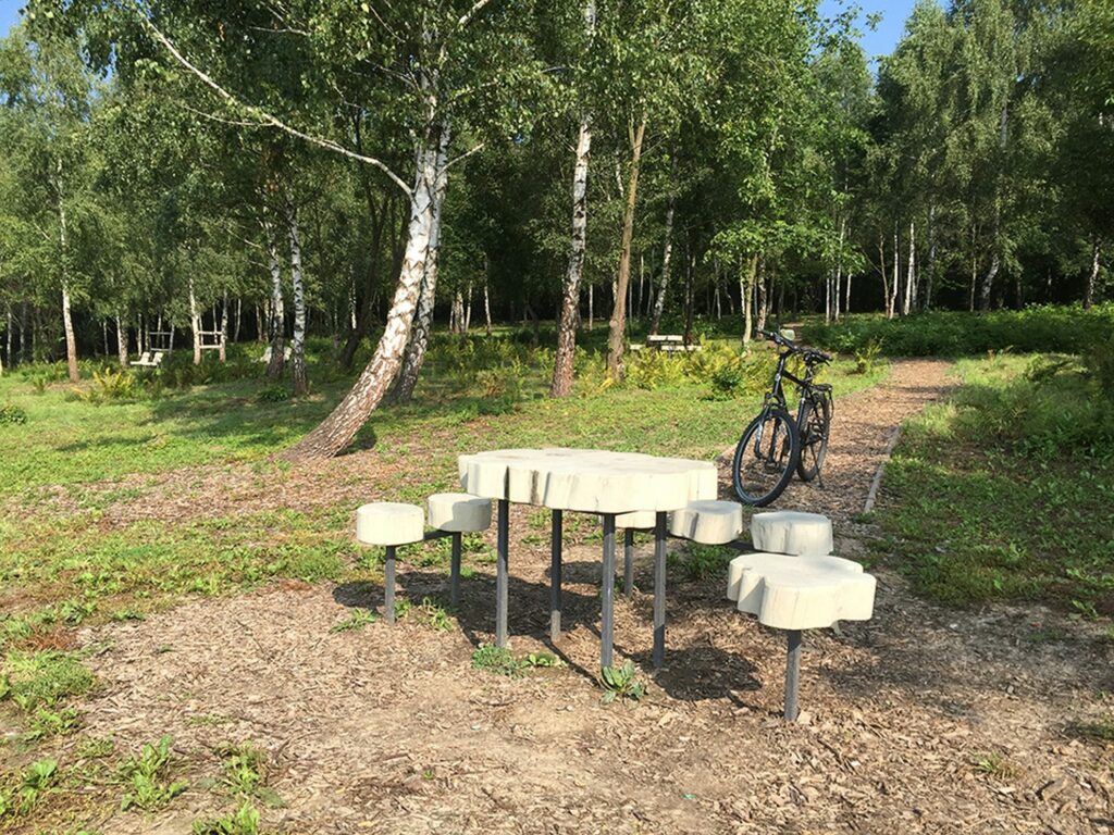 A bike at a resting spot in the woods on the mound route