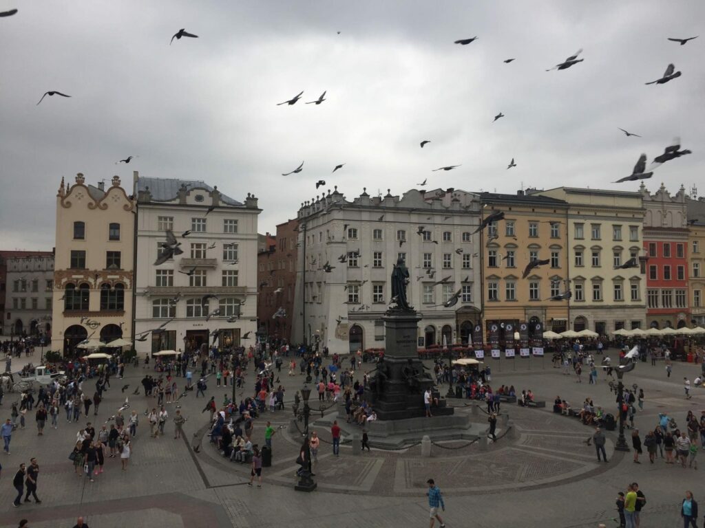 Pigeons over the busy Main Market Square