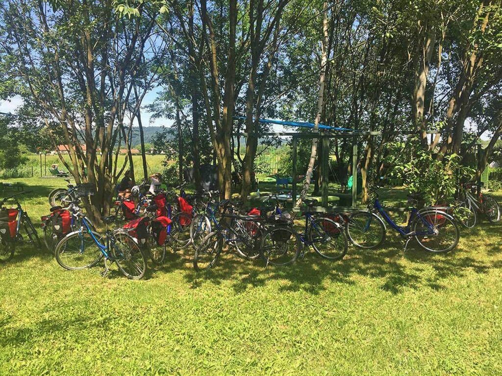 Bikes resting in the grass near Tyniec